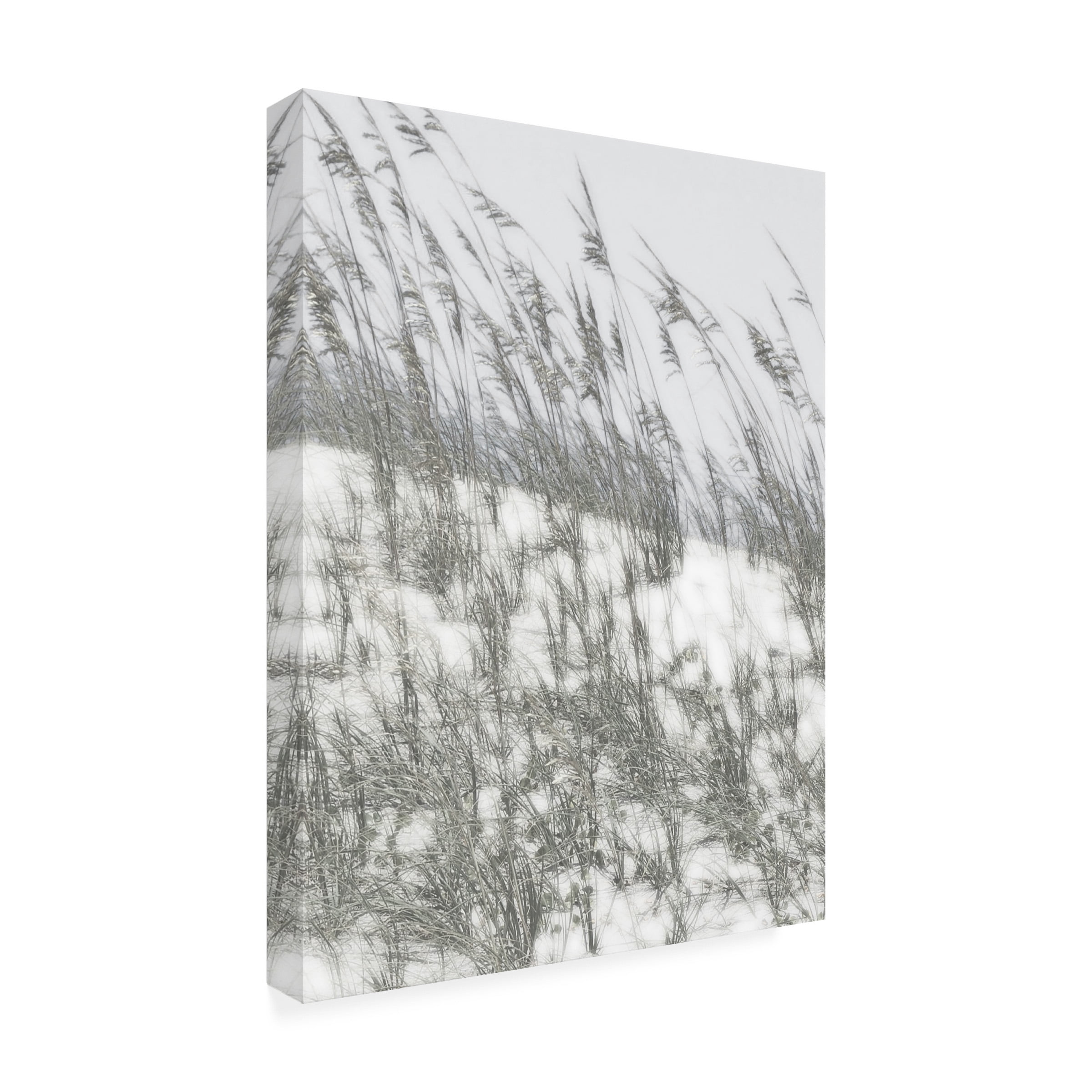 Sharon Chandler 'Lush Dunes III' Canvas Art