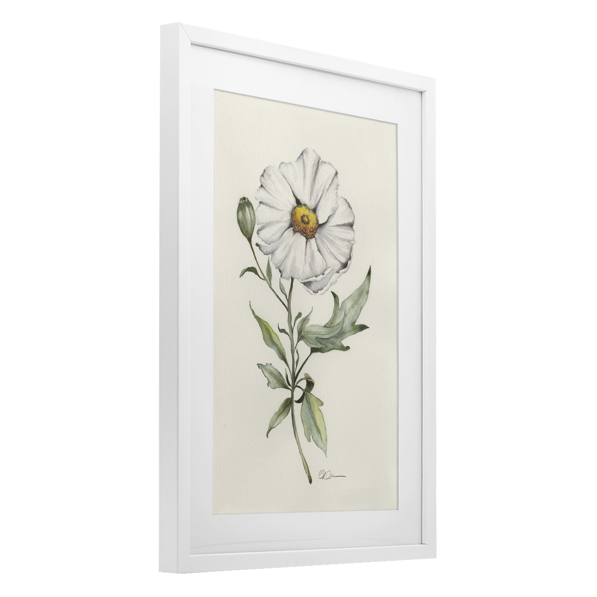 Stupell Industries Natural Wild Blossom Sprig White Framed Print Under Glass, design by Cady Driver