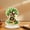 💖A_New#415, variant on St. Patrick's Day Green Acrylic Four-Leaf Clover Decoration for Home, Party, and Office Table Centerpiece