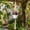 D, variant on 35" Large Macrame Plant Hanger, Long Hanging Plant Holder with Tassels & Wood Beads for Indoor Outdoor Home Decor