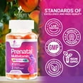 thumbnail image 3 of Prenatal Vitamins for Women 1335mcg - Pregnancy Vitamins Gummies with Folic Acid, Vitamin A, C, D3, B12, B6 - Prenatal Multivitamin Gummy for for Fetal Support, Pregnant & Nursing Women - 60 Gummies, 3 of 11