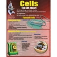 thumbnail image 6 of McDonald Publishing Living Organisms Posters, Set of 4, 6 of 6