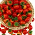 thumbnail image 2 of 40pcs Mini Artificial Tomato Decoration Fake Fruit Home Party Christmas DIY Material - 3.5 cm, 2 of 2