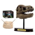 thumbnail image 1 of Dinosaur Skeleton Model Kit Plastic Dinosaur Dig Kit Dinosaur Fossil Kit for Kid, 1 of 10