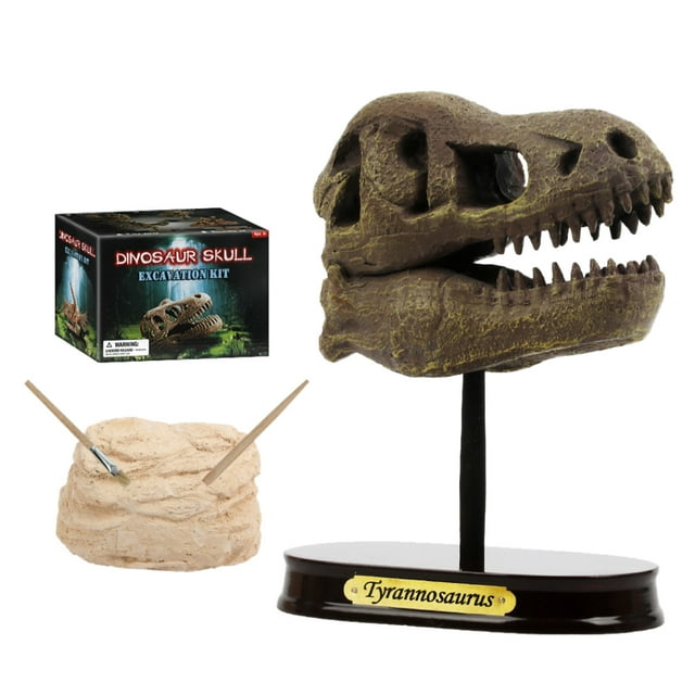 Dinosaur Skeleton Model Kit Plastic Dinosaur Dig Kit Dinosaur Fossil Kit for Kid