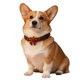 thumbnail image 2 of Christmas Cat and Dog Clothing Plush Ball Collar Reindeer Bow Wreath Vine Decoration Soft Material-M (40cm), 2 of 5