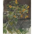 thumbnail image 3 of Anton Nowak 15x18 Black Modern Framed Museum Art Print Titled - Sunflowers, 3 of 5
