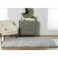 thumbnail image 4 of Pastel Shaggy Grey 5 ft. x 7 ft. Area Rug, 4 of 6