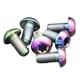 thumbnail image 3 of Paquete de 6 Tornillos de Disco de Freno Shamjiam T25 de Titanio, 3 of 9