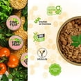 FISH PEAS Plant HHA1 Based Vegan Food ITALIANO Salad With Dried
