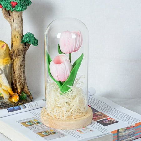 

SSBSM Flower Dome Ornament Low Power Consumption Fashion Galaxy Tulip Lamp in Glass Dome