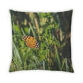 thumbnail image 2 of Ahgly Company Coussin Décoratif Intérieur Insectes Papillon, 18 Pouces par 18 Pouces, 2 of 6