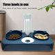 thumbnail image 3 of Cuencos para gatos, cuenco para bebedero automático Pet Gatii Cat para agua y comida Dispensador de agua automático Perfecta protección reclinable para el cuello para Cat Chen (azul). Afortunado Sencillez, 3 of 3