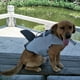 thumbnail image 4 of Chaleco salvavidas para perros Chaleco de traje de baño de tiburón para mascotas Ropa de se Tomshoo  Gris,XS, 4 of 7