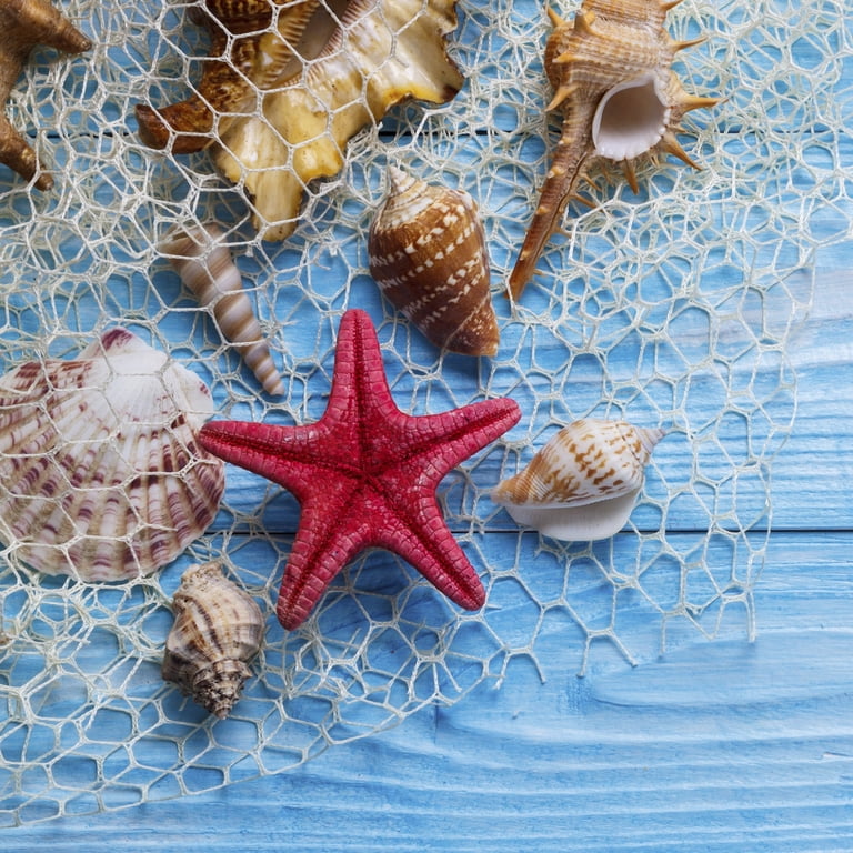 boys room fish.net 2 Pack Decoractive Fishing Net 80x40 Inch, 3mm Thickness Light Blue Natural Cotton Large Picture Wall Hanging Fish Net, Party Decorations Fishnet for Nautical Pirate Beach Mermaid Themed Party : Home Decorative Fish Net, Luvu Nautical