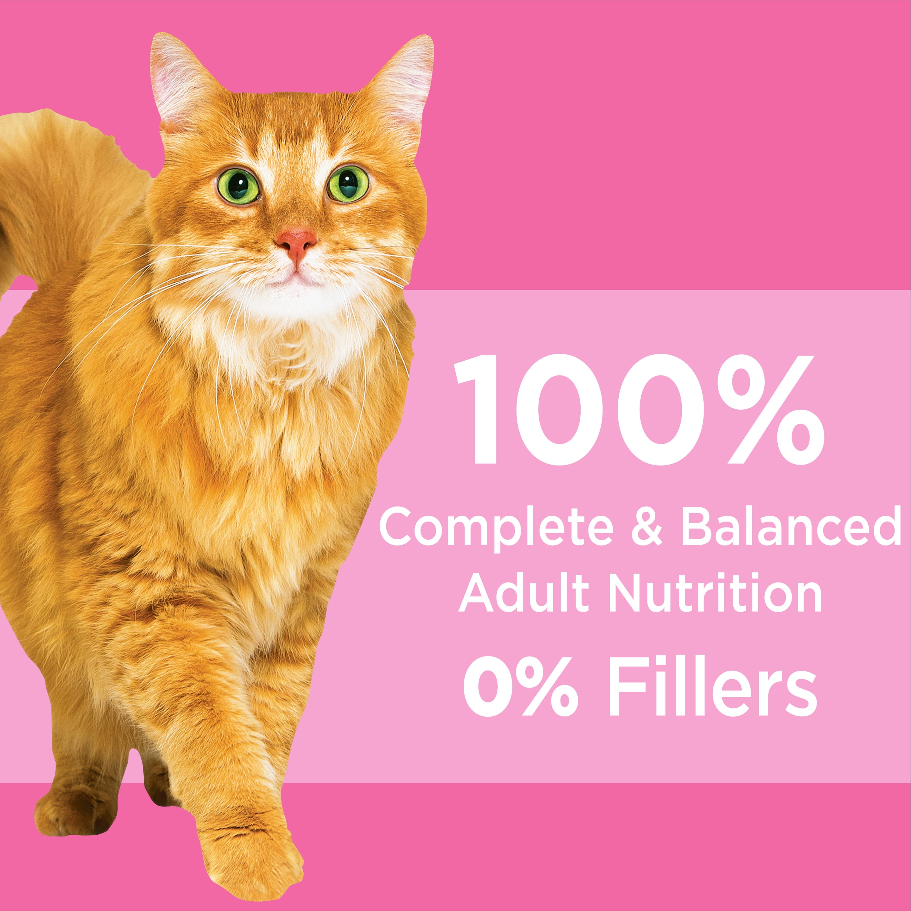 iams cat sensitive stomach