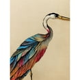 thumbnail image 1 of Rainbow Heron Bird Detailed Plumage Feathers Illustration Large Wall Art Poster Print Thick Paper 18X24 Inch, 1 of 4