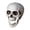 D, variant on Plastic Skull Head Statue, Halloween Decor Figurine for Home Office Shelf, Gothic Skeleton Ornament, Tabletop Decoration
