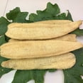 thumbnail image 4 of Almohadilla grande para lavar platos de lufa Natural para cocina, baño, esponja, cuerpo, exfoliante, depurador Levamdar  WMPH-771-1, 4 of 5