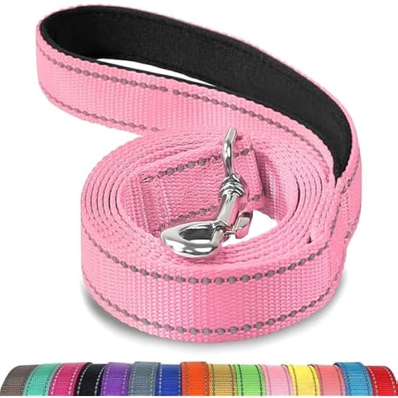 Eryueer Padded Handle Dog Lead, Double-Sided Reflective Nylon Leads for Training, Walking Leash for Small, Medium Dogs, 1.2m × 2cm, Pink