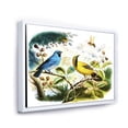 thumbnail image 3 of Designart 'Yellow and Blue Bird In The Wild' Traditional Framed Canvas Wall Art Print, 3 of 5