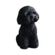 thumbnail image 1 of Figura de perro en miniatura, adorno de escritorio de resina, linda decoración para tablero de automóvil. negro en cuclillas, 1 of 9
