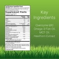 thumbnail image 2 of Irwin Naturals CoQ10-RED with Nitric Oxide Booster & MCTs - Advanced Heart Health Formula Supports Healthy Blood Flow & Energy Production - High Absorption Antioxidant Protection - 60 Liquid Softgels, 2 of 7