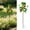 Green - 25cm, variant on Animal Wind Spinner Stake 30" Colorful Metal Garden Windmill Weather Resistant Rotating Wind Sculpture for Yard Patio Lawn Decor Green