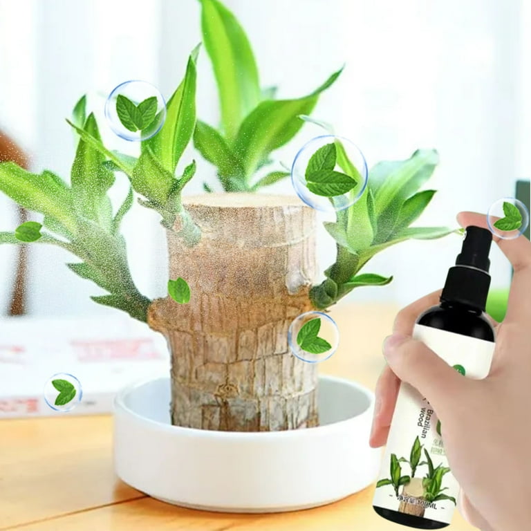 Zawou Brazilian Wood Plant Food,Lucky Bamboo Liquid Fertilizer,Brazilian  Wood Flowering Special Nutrient Solution For Indoor Plants,100Ml -  Walmart.com