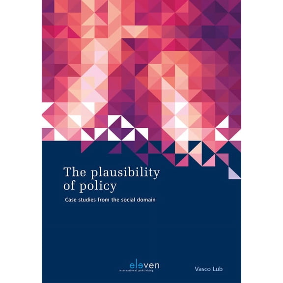 The Plausibility of Policy : Case Studies from the Social Domain (Paperback)