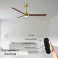 thumbnail image 4 of Matthews Fan Company AKLK-BRBR-WN-42 Alessandra 42” Brushed Brass Ceiling Fan with 3 Walnut Blades, Integrated LED Light Kit, Remote Control, Indoor/Outdoor Wet Rated, 4 of 6