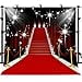 thumbnail image 3 of MTMETY 10x10ft Red Carpet Vinyl Photography Backdrop Customized Photo Background Photo Booth Studio Props HXME186, 3 of 4