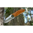 thumbnail image 5 of Camillus Comb 7.25" Fixed Drop-Point 3.5" Blade Knife with Sharpeners and Hard Sheath, Orange, 5 of 30