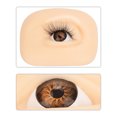 thumbnail image 4 of Maquillaje de ojos de silicona Entrenamiento Piel en forma de ojo Maquillaje de ojos biónico Herramientas de belleza para la piel JShteea Cuidado Belleza, 4 of 8