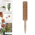 thumbnail image 3 of Varilla para trepar plantas,Extensión de planta de varillas de trepadoras de plantas de 12 pulgadas,Enredadera de palo en maceta de soporte de tótem de planta,Planta de enredadera de kusrkot Varilla para trepar plantas, 3 of 8