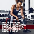 thumbnail image 3 of Muscle Milk Genuine Protein Shake, Chocolate, 25g Protein, 14 Fl Oz, 12 Pack, 3 of 3