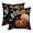 B, variant on Sm:)e Ghost Pumpkin Maple Leaf Halloween Pillow Covers 18x18 Inch Set of 2, Cushion Covers for Sofa Home Decor