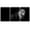 B35-2107-03-EVA035, variant on PixonSign Canvas Print Wall Art Set Pinhole Style Horse Portrait Animals Wildlife Photography Realism Rustic Closeup Relax/Calm Dark Black and White for Living Room, Bedroom, Office - 24"x36"x3