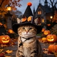 thumbnail image 5 of Pet Halloween Witch Hat, Mini Pointed Dog and Cat Costume with Bow, Spooky Fuzzy Ball Headwear with Chin Strap for Holiday Photos, 5 of 5