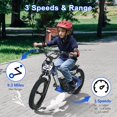 thumbnail image 3 of Akaber Kids Electric Dirt Bike for 6-12 Years, 250W Brushless Motor 15.5MPH, 16" Inflatable Tires, 24V Detachable Battery, Electric Bike for Kids, 3 of 9