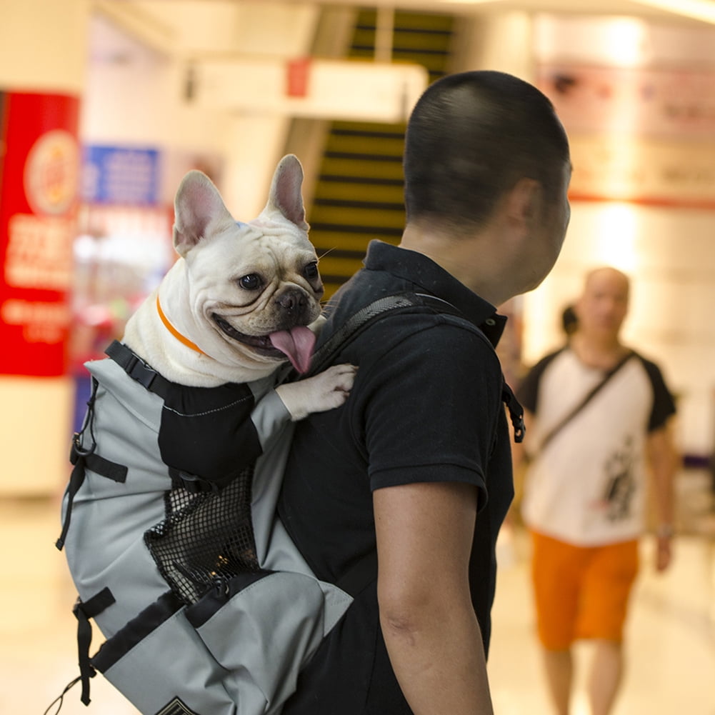 dog backpack carrier for large dogs