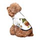 thumbnail image 5 of Fotbe Hello Autumn Sudadera con Estampado para Perros Pequeños – Suéter con Capucha para Mascotas, Tela Suave de Forro Polar con Bolsillo-X-Large, 5 of 7
