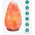 thumbnail image 2 of Himalayan Natural Glow Hand Carved Crystal Dimmer Control Rock Salt Lamp, 2 of 6