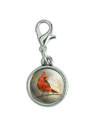  St. Louis Cardinals Cardinal Charm Compatible With Pandora  Style Bracelets. Can also be worn as a necklace (Included.) : Sports &  Outdoors