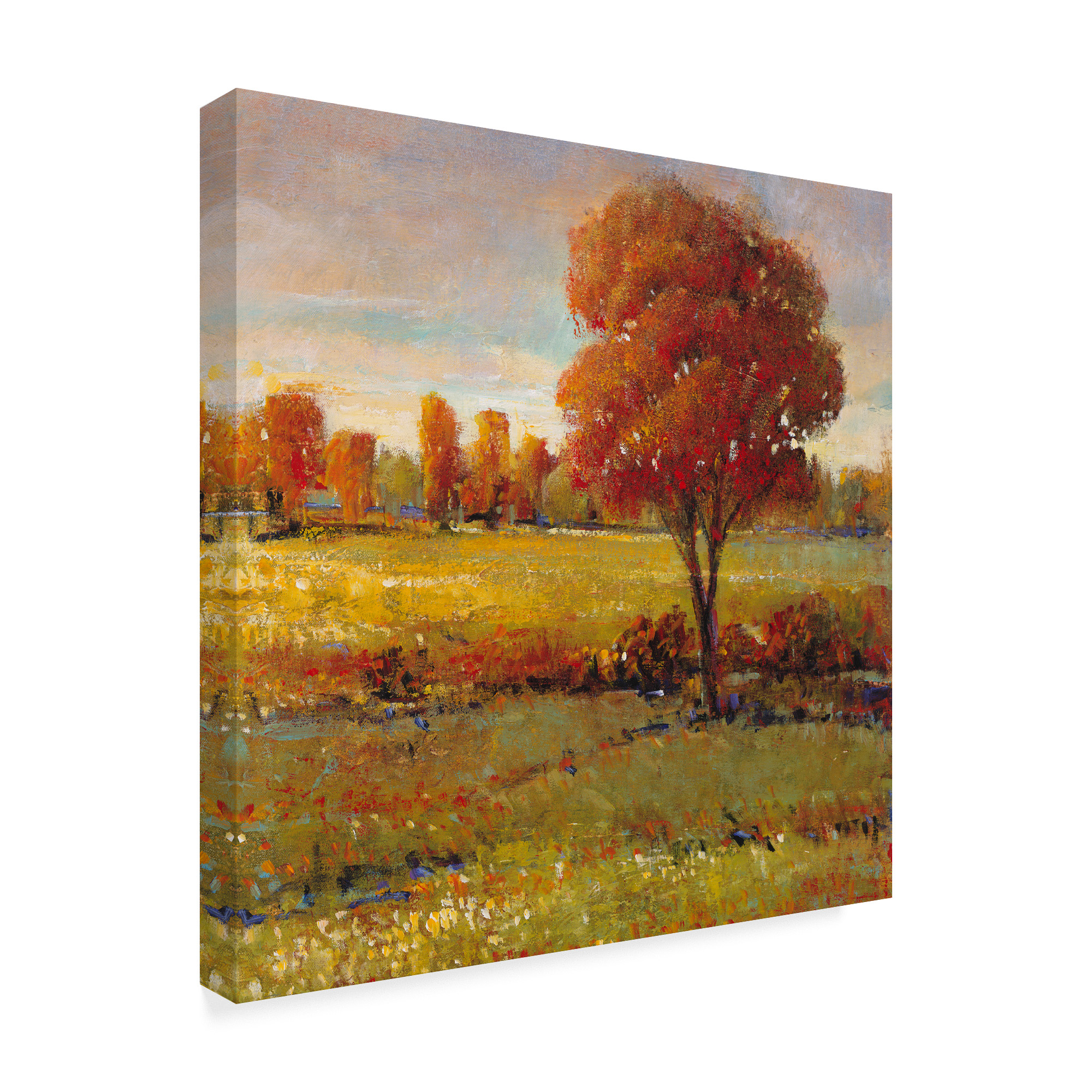 Trademark Fine Art 'Field in Fall' Canvas Art by Tim OToole