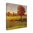 thumbnail image 2 of Trademark Fine Art 'Field in Fall' Canvas Art by Tim OToole, 2 of 4