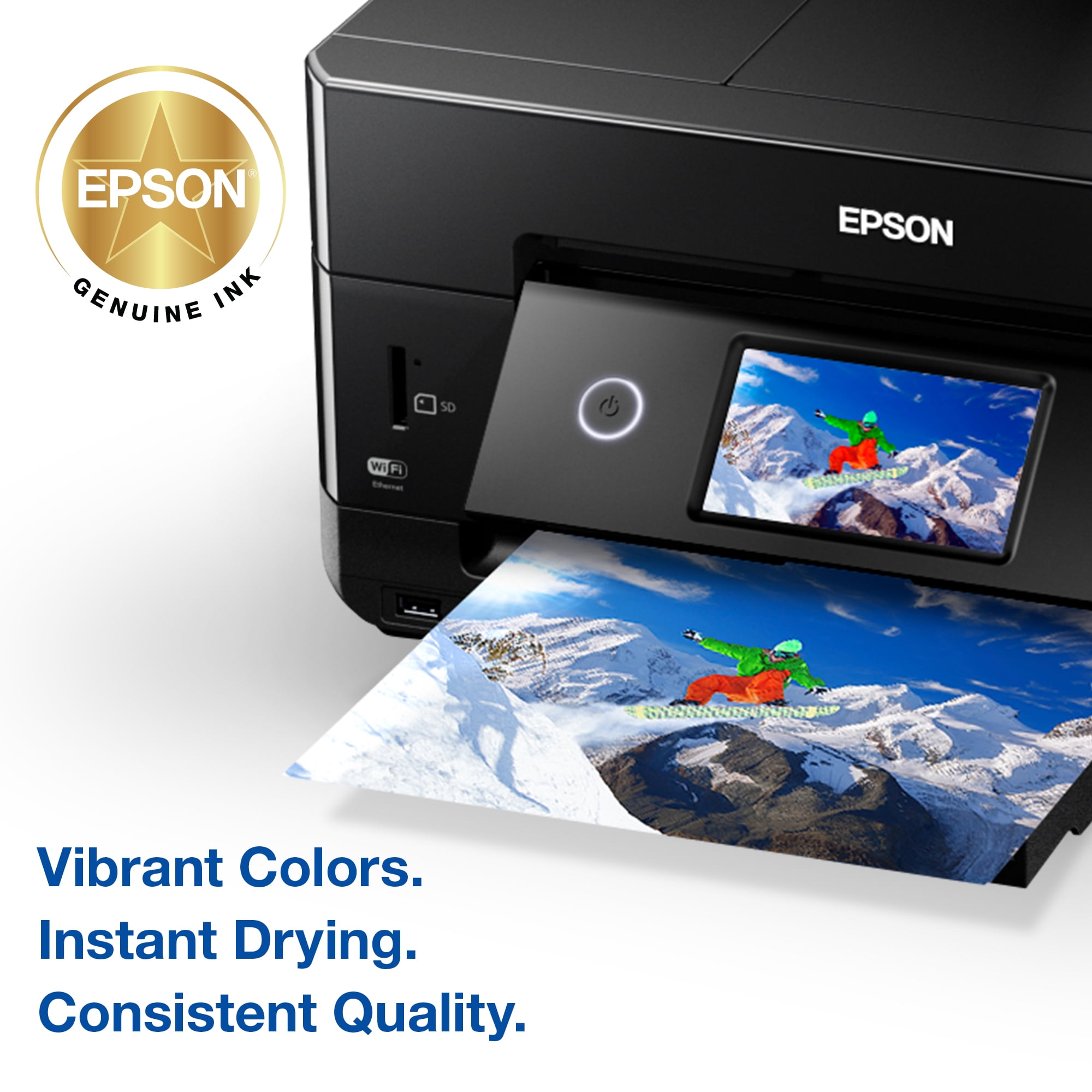 Epson T410520-S Genuine Cartridges, Claria Premium Ink, Photo