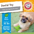 thumbnail image 2 of Brazo y martillo dentales masticables para mascotas, T-Rex para perros (paquete de 24), 2 of 7