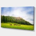 thumbnail image 2 of Cows on Field Panorama - Landscape Canvas Art Print, 2 of 3