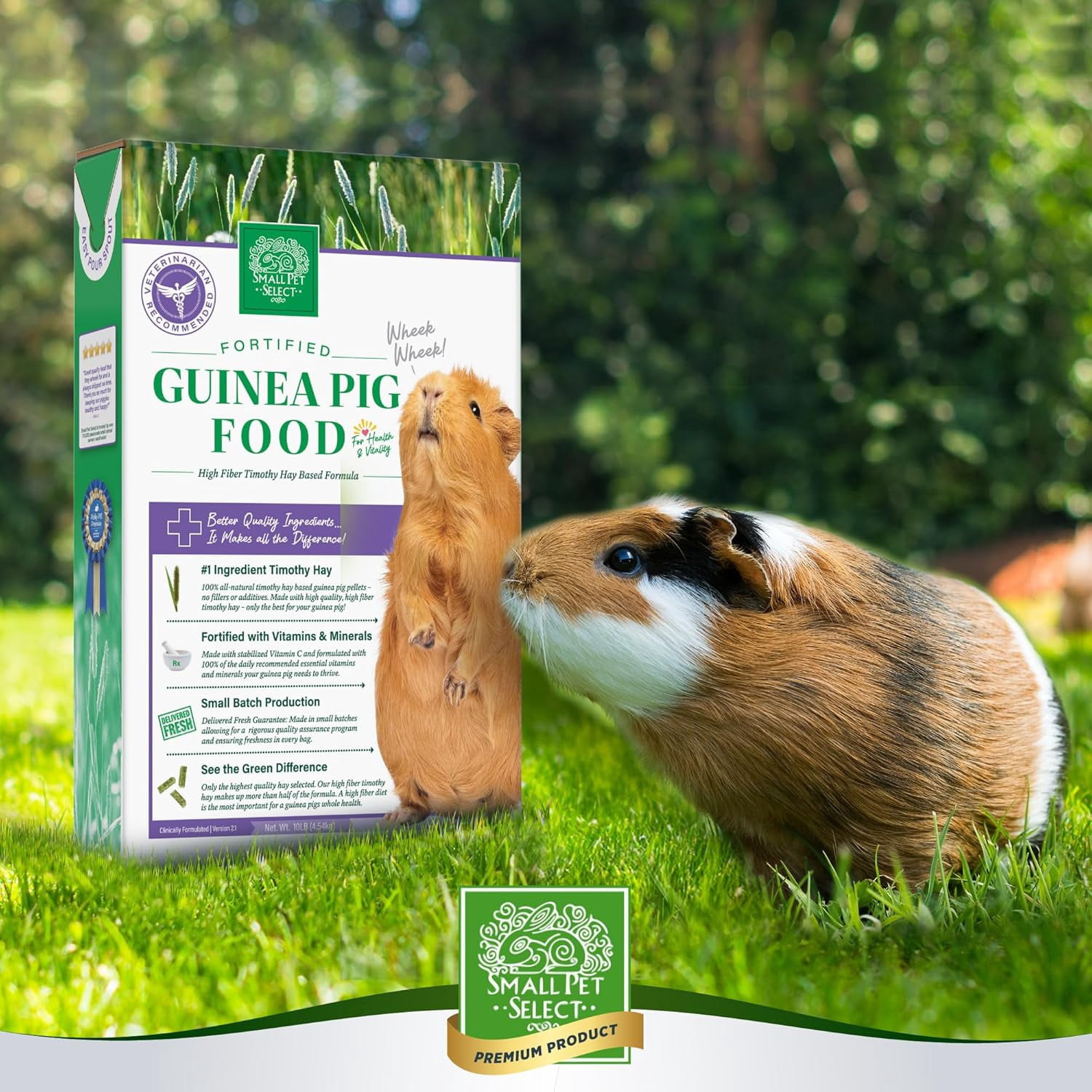 Small Pet Select-Premium Guinea Pig Pellet Food, Non-GMO, Soy Free. Local Ingredients in Pacific Northwest, 10lb, Green